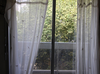Vente Studio 24,37m² Paris 19ème vente studio 19eme paris 3